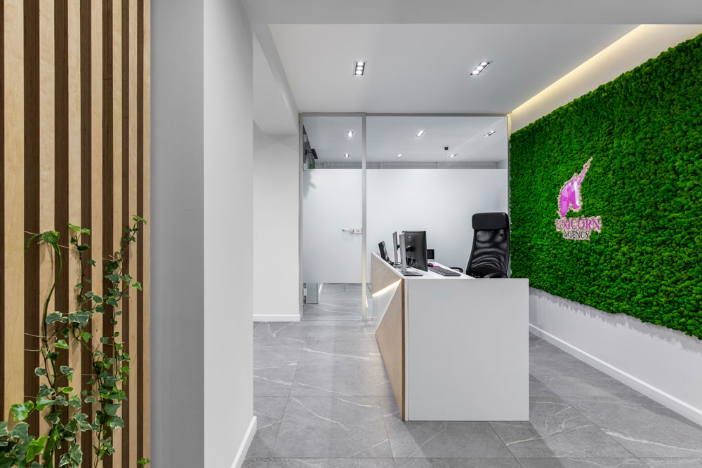  amenajare interioara birou office